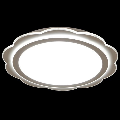 0894 Потолочный LED светильник Adilux 0894 0894