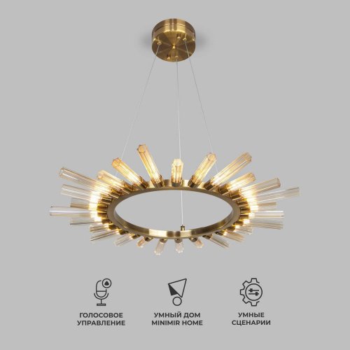 Подвесная люстра Bogate's Sole 557 Smart