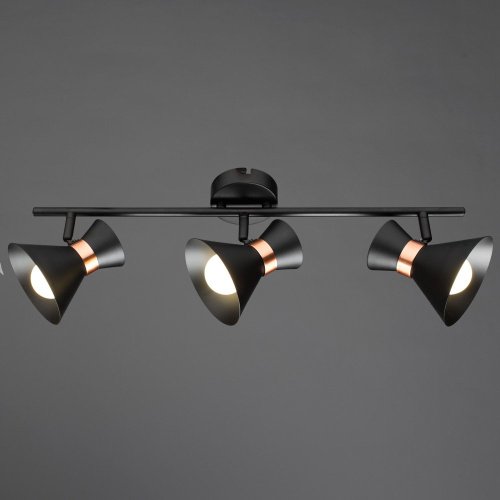 A1406PL-3BK Светильник спот Arte Lamp A1406PL-3BK