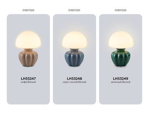 Настольная лампа Ambrella Ceramo Modern LH53248