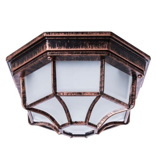 A3100PL-1AC Уличные потолочные Arte Lamp Pegasus A3100PL-1AC