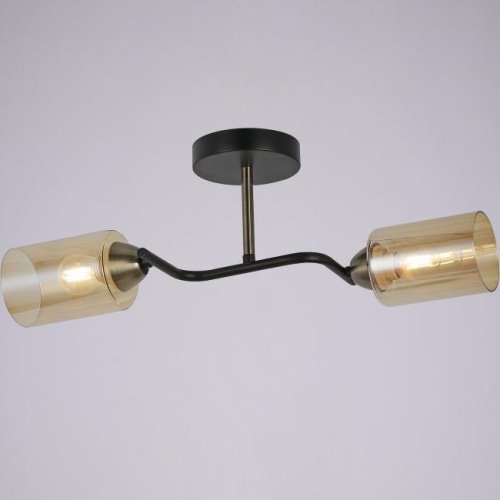 Потолочная люстра ILLUMICO IL8148-2COU-79 BK BR Bice