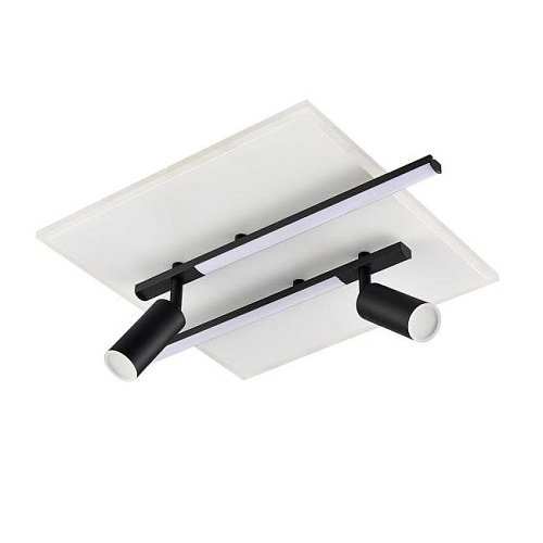 Светильник потолочный Lumion Stells 8256/40CL