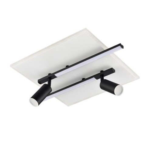 Светильник потолочный Lumion Stells 8256/40CL