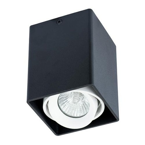 A5655PL-1BK Накладной светильник Arte Lamp Pictor A5655PL-1BK