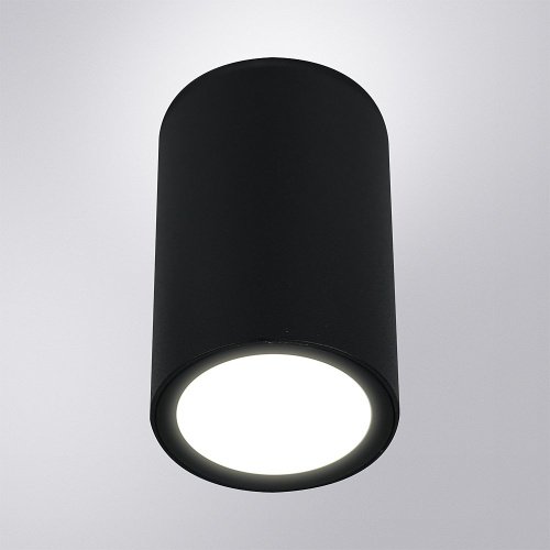 Уличный потолочный светильник Arte Lamp Torcular A1307PF-1BK