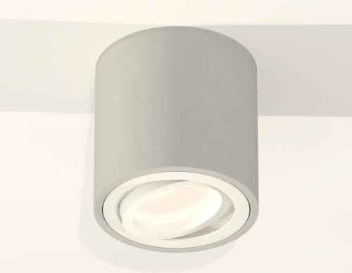 Накладной светильник Ambrella Techno XS7533001