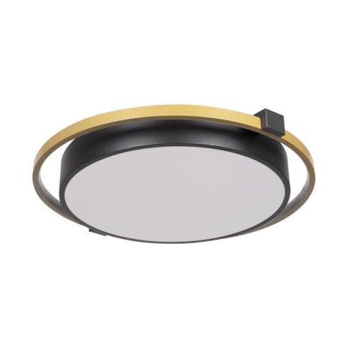 10170 Потолочная люстра Loft It Mike 10170