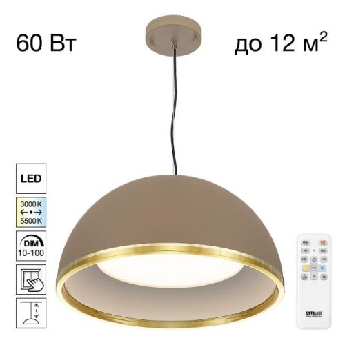 Подвесной светильник FLOOM Citilux CL736252