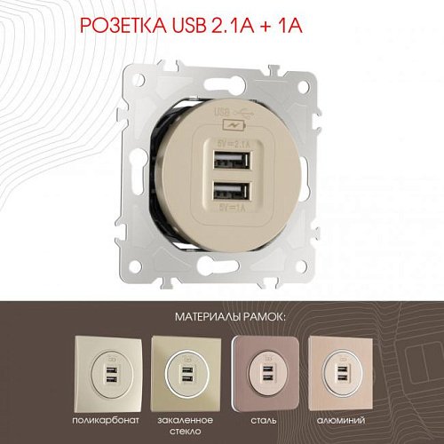 202.46-1.shampan Розетка Arte Milano Am-202 202.46-1.shampan