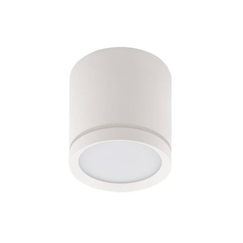Накладной светильник Denkirs Dk4016 DK4013-WH