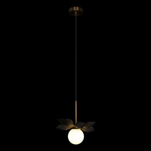 Светильник подвесной Loft It Monro 10213/B Black