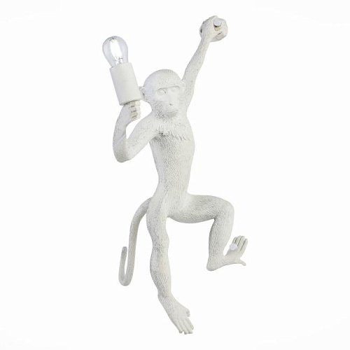 Настенное бра Evoluce Tenato SLE115111-01