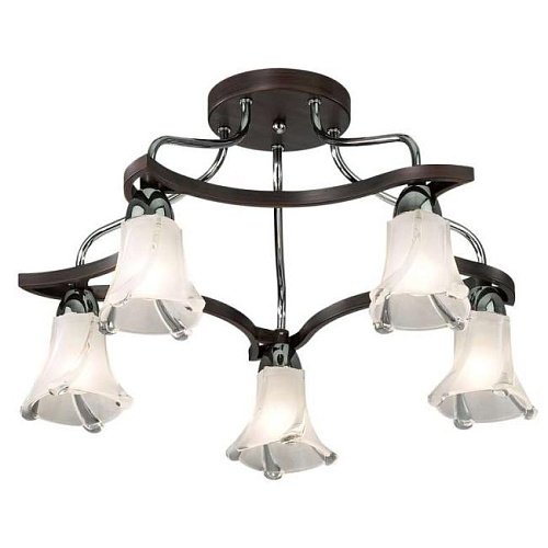 2237/5C Потолочная люстра Odeon Light Iwo 2237/5C