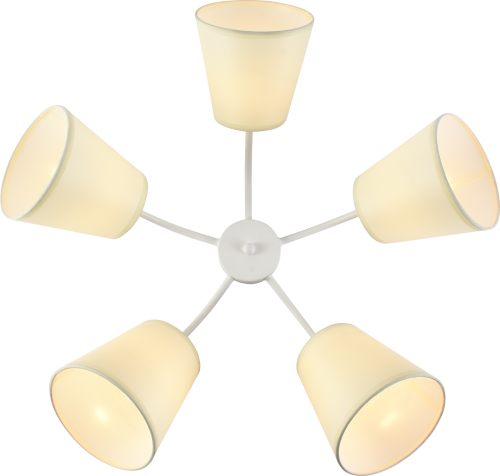 Потолочная люстра Rivoli Aimee 9162-305