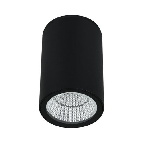 Уличный потолочный светильник Arte Lamp Torcular A1307PF-1BK