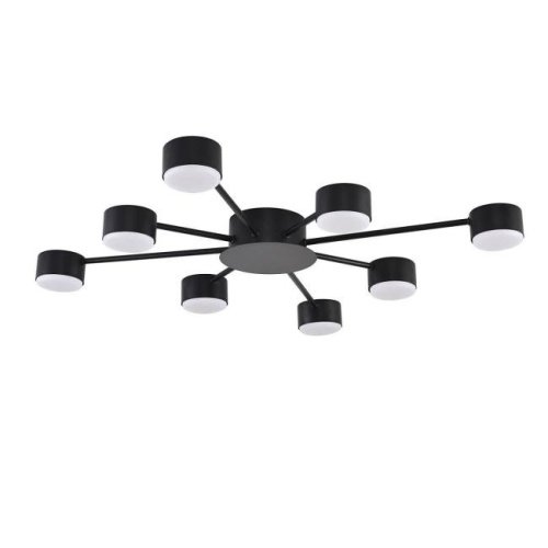 Потолочная люстра Lumion Torina 8344/8С