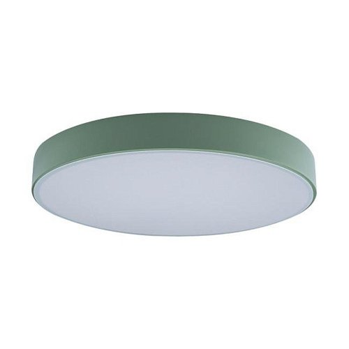 Светильник потолочный Loft It Axel 10002/24 Green