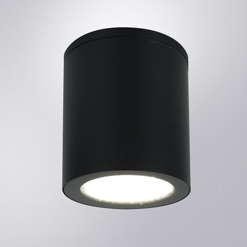 A1813PF-1BK Уличный потолочный светильник Arte Lamp Torcular A1813PF-1BK