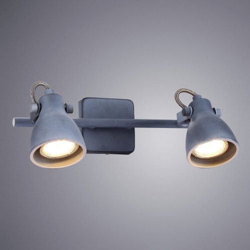 A9189AP-2GY Светильник спот Arte Lamp Gotto A9189AP-2GY