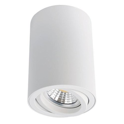 A1560PL-1WH Накладной светильник Arte Lamp Sentry A1560PL-1WH