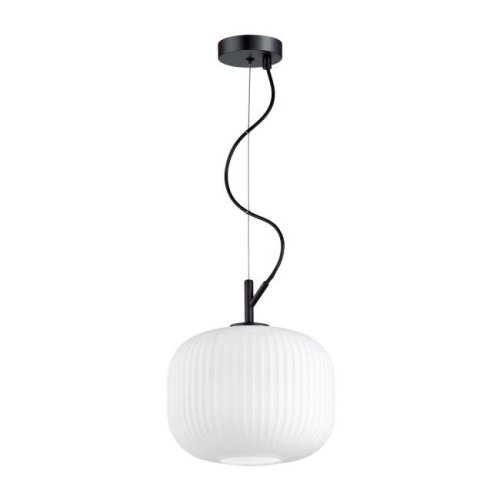 4753/1 Светильник подвесной Odeon Light Roofi 4753/1