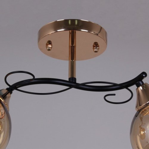 Потолочная люстра 06073-0.3-02 FG+BK